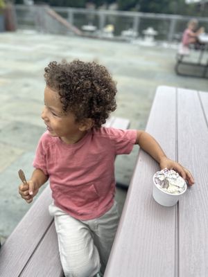 MOMU Ice Cream by null