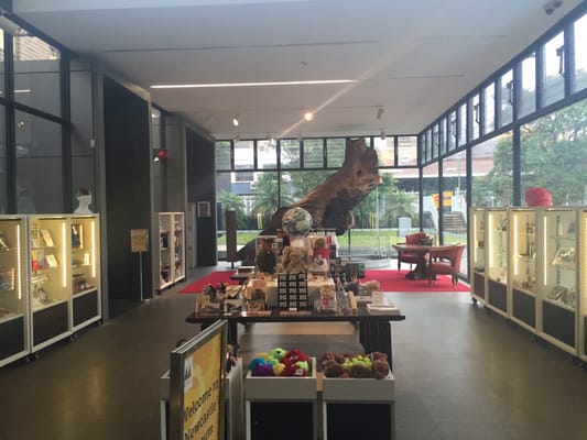 Newcastle Museum by null