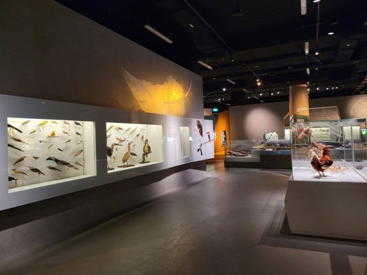 Lee Kong Chian Natural History Museum, Singapore by null