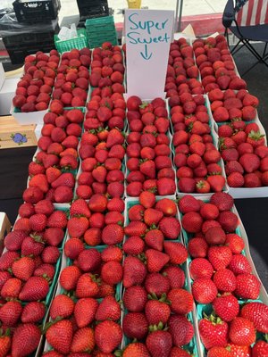Melrose Place Farmers Market by null