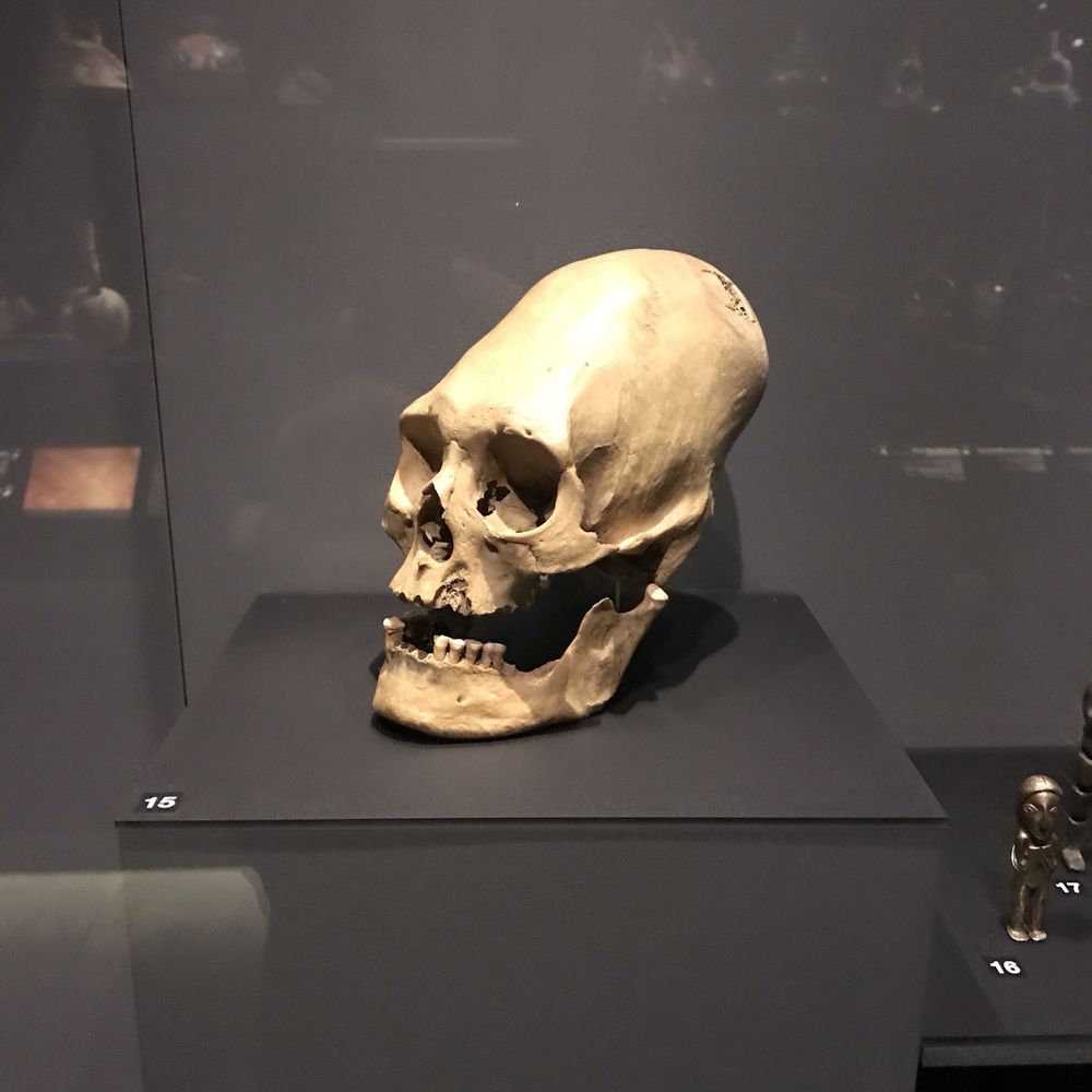Musée d'Ethnographie - Museums Near Me - Geneva, GE