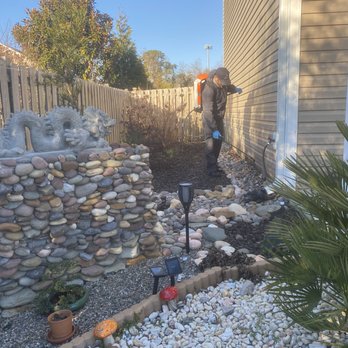 End Game Exterminators - Pest Control Near Me End Game Exterminators - Pest Control Near Me