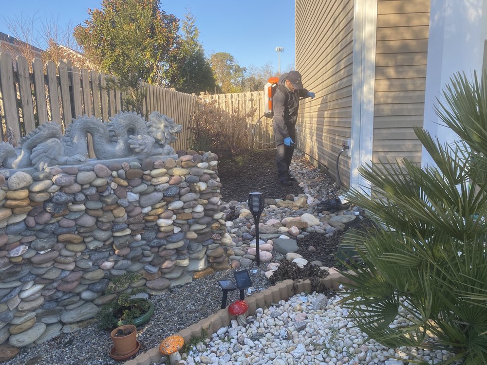 END GAME EXTERMINATORS Updated September 2024 Wilmington, North