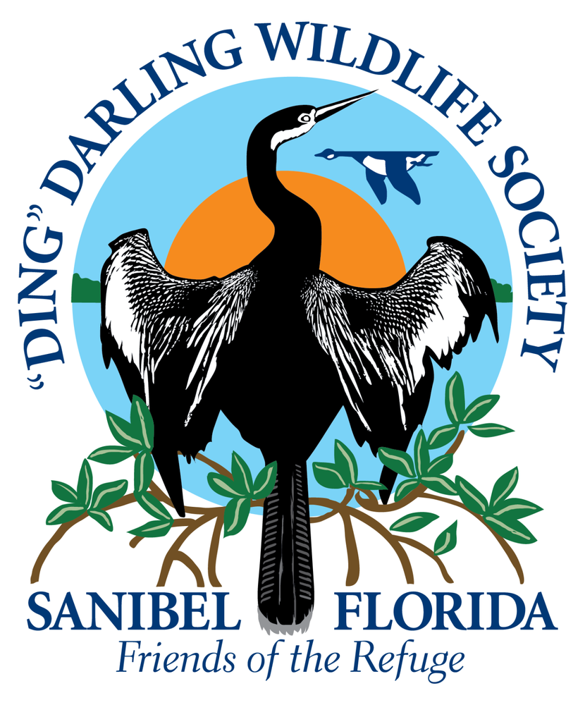 Ding Darling Wildlife Society - social services organization in Sanibel, FL