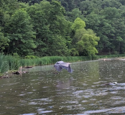 Kayak Pittsburgh North Park by null