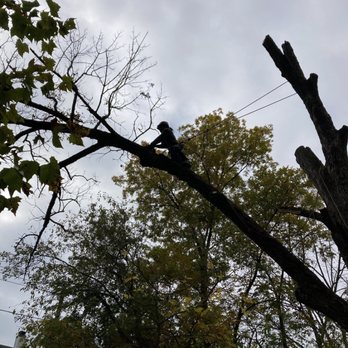 Lehigh Valley Tree Removal and Landscaping - Hazard power line pruning - Landscaping Near Me - Bethlehem, Pennsylvania Lehigh Valley Tree Removal and Landscaping - Hazard power line pruning - Landscaping Near Me - Bethlehem, Pennsylvania