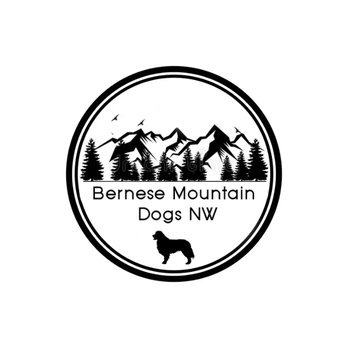 Bernese Mountain Dogs NW - Pet Breeders Near Me Bernese Mountain Dogs NW - Pet Breeders Near Me