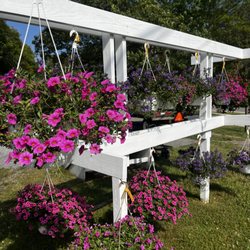 Pumpkin Patch Farm Stand