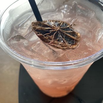 Happy Raptor Distilling - Distilleries Near Me - New Orleans, Louisiana Happy Raptor Distilling - Distilleries Near Me - New Orleans, Louisiana