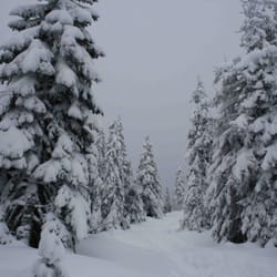 Parc National des Monts-Valin - La vallée des fantômes et des momies