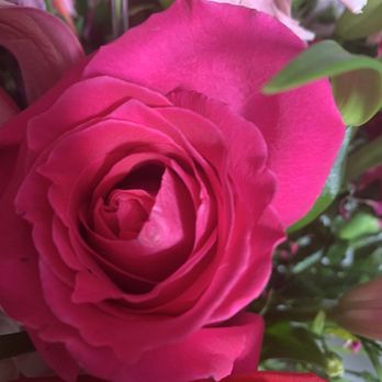 The Village Greenery Florist - Florists Near Me - St. Augustine, Florida The Village Greenery Florist - Florists Near Me - St. Augustine, Florida