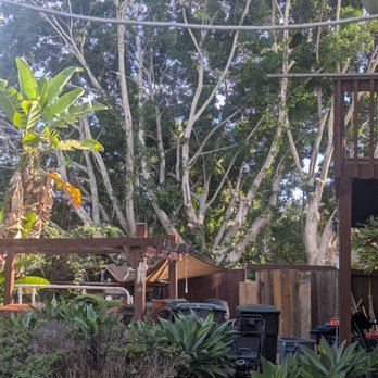 Tapia Tree Services - Tree Services Near Me Tapia Tree Services - Tree Services Near Me