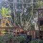 Photo of Tapia Tree Services