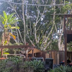 Tapia Tree Services