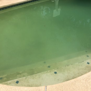 Bella Blue Water - When they decided to abandon our pool... - Pool & Hot Tub Service Near Me - Indio, California