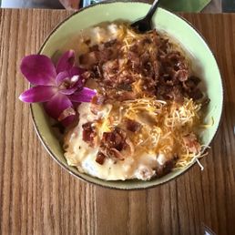 Son of a Biscuit Bowl