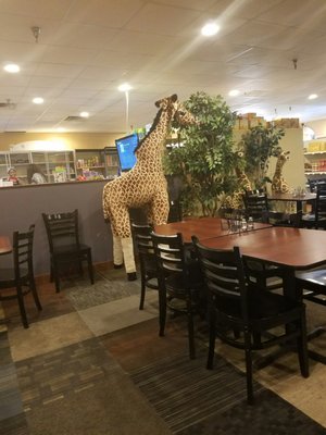 Jambo Africa Restaurant N Bar by null