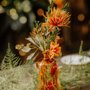 Photo of Heidi's Floral design