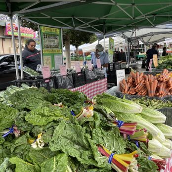 IRVINGTON FARMERS’ MARKET - Updated January 2025 - 548 Photos & 134
