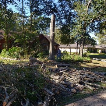 J &N Tree Service - Notching down a tree - Tree Services Near Me - Cleveland , Texas