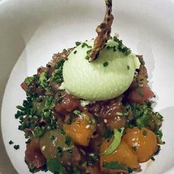 The Greedy Goose - Yellow Fin Tuna