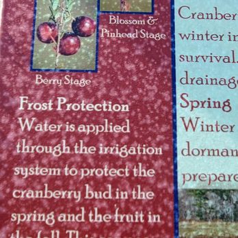 Makepeace Farms - a list of winter plants - Bakeries Near Me - Wareham, Massachusetts