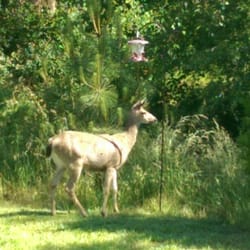 Beavercreek Rv Resort - That close! Really!