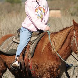 Sea Horse Ranch - A friendly horse named Roja