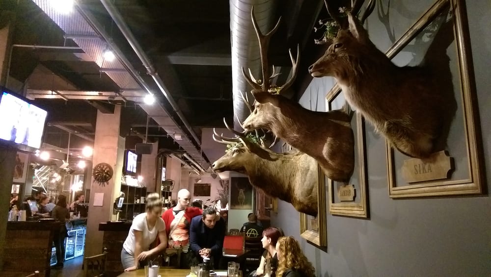 Five Stags