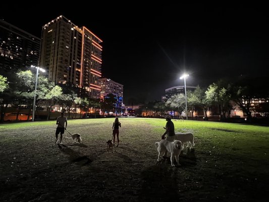 Huizenga Park by null