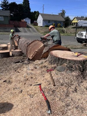 South Hill Tree Service