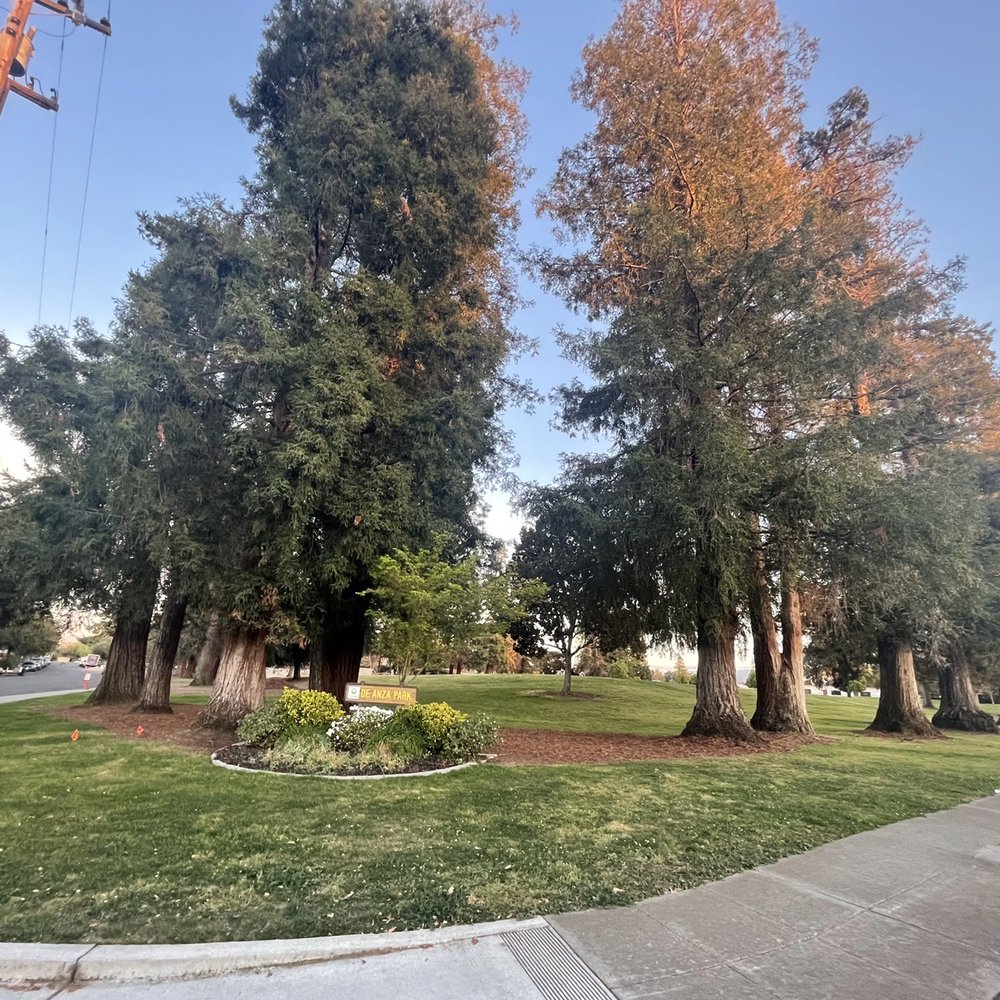 De Anza Park - Parks Near Me - Sunnyvale, California De Anza Park - Parks Near Me - Sunnyvale, California