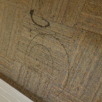 Colorado State University - Stains like this up and down the outside hallway. Out of date carpet - Colleges & Universities Near Me - Fort Collins, Colorado Colorado State University - Stains like this up and down the outside hallway. Out of date carpet - Colleges & Universities Near Me - Fort Collins, Colorado