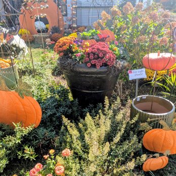 The Growing Place Garden Center - Many photo opps - Nurseries & Gardening Near Me - Aurora, Illinois The Growing Place Garden Center - Many photo opps - Nurseries & Gardening Near Me - Aurora, Illinois