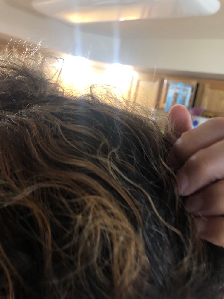 SHEARS TO YOU 47 Photos & 18 Reviews 8221 Steilacoom Blvd SW