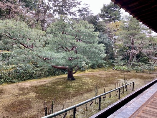 Daitoku-ji Temple by null