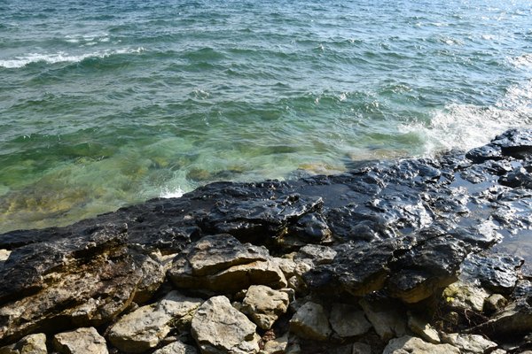 Whitefish Dunes State Park by null