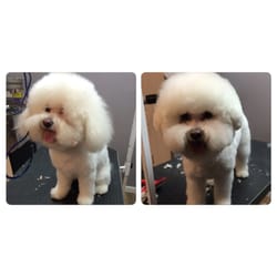 WOOF Dog Shoppe