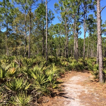 Tibet-Butler Preserve - Orlando DOES have sand - Parks Near Me - Orlando, Florida Tibet-Butler Preserve - Orlando DOES have sand - Parks Near Me - Orlando, Florida