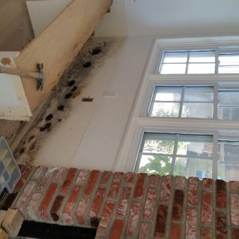Mold Masters - Damage Restoration Near Me - Los Angeles, California