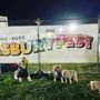 Photo of Asburyfest at Bradley Park