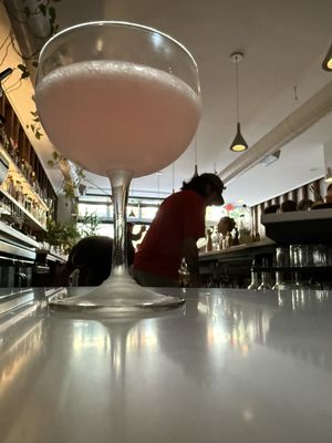 Bar Botanico by null