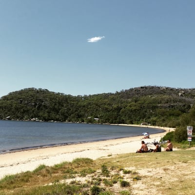 Palm Beach by null