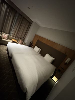 HOTEL THE CELESTINE TOKYO SHIBA by null