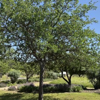 Imagery Estate Winery - Pretty grounds - Wineries Near Me - Glen Ellen, California