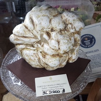 Mercato Centrale - The price! Holy s***! - Food Court Near Me - Florence, FI