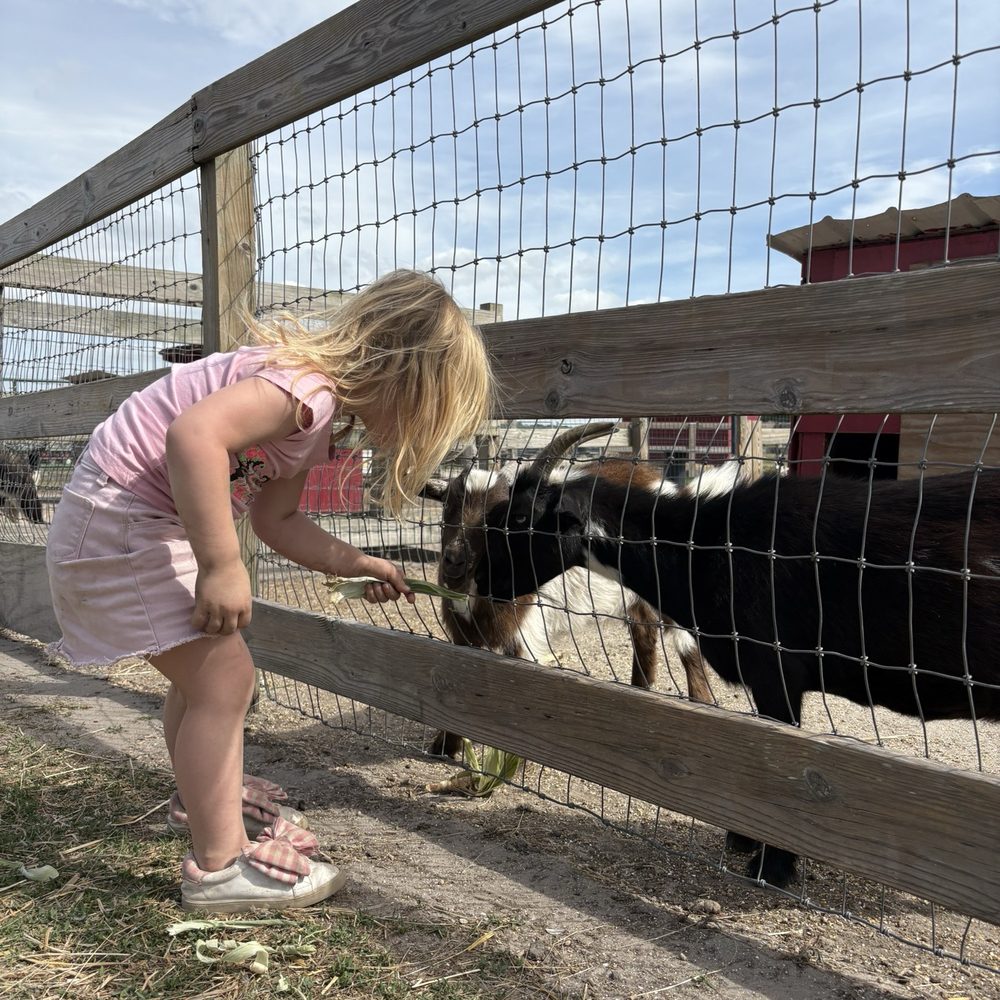 She loves her some goats