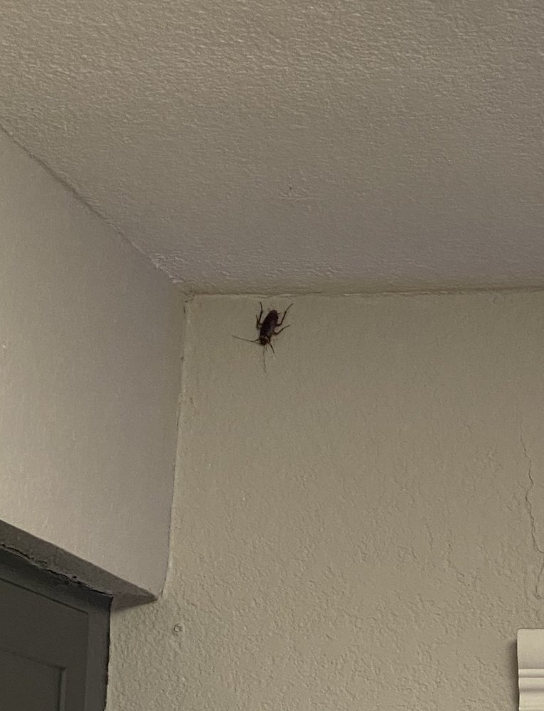 FLINTRIDGE APARTMENT HOMES Request Information 46 Photos 708