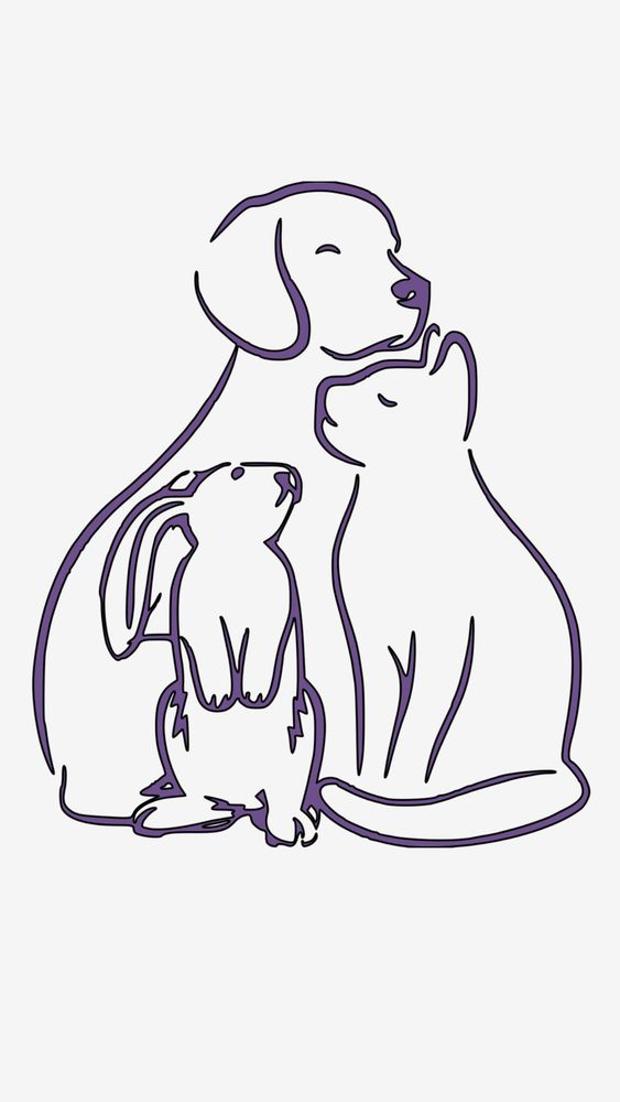 Cuddle Care - pet boarding facility in West Haven, CT
