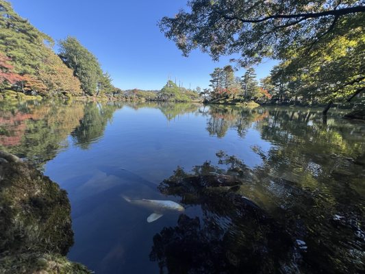 Gyokusen-inmaru Garden by null